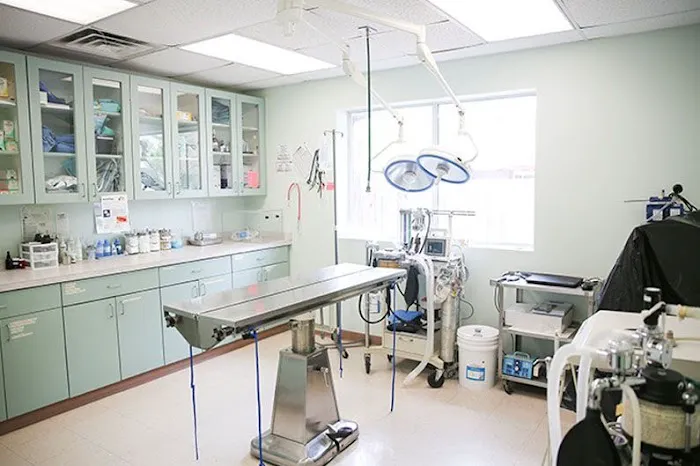 Marina Bay Animal Hospital 12