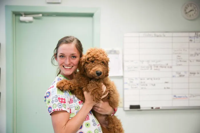 Marina Bay Animal Hospital 12