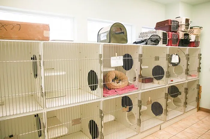 Marina Bay Animal Hospital 12