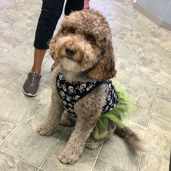 Bayside Animal Hospital | Kemah, TX 12