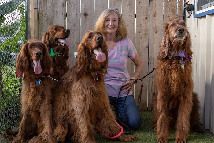 Bayside Animal Hospital | Kemah, TX 12