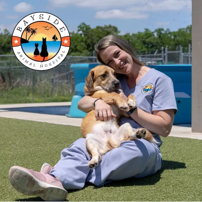 Bayside Animal Hospital | Kemah, TX 12