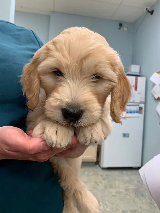 Bayside Animal Hospital | Kemah, TX 12