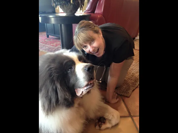 Sea Paws Veterinary Services 12