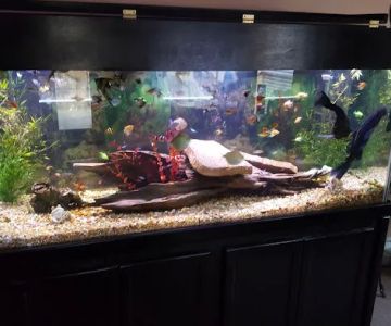 Crystal Reef Aquariums