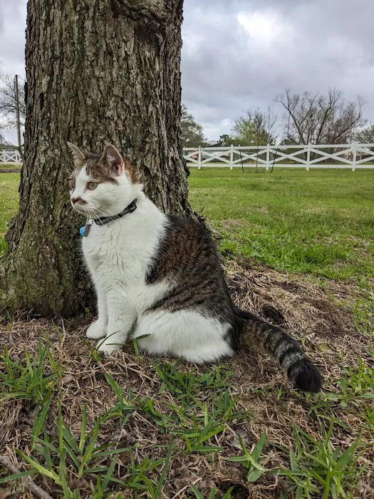 Safari Veterinary Care Centers 5