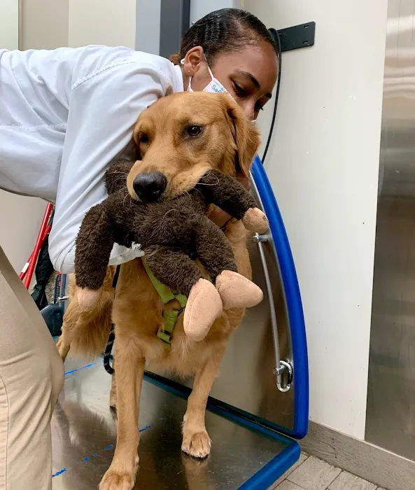 Safari Veterinary Care Centers 3