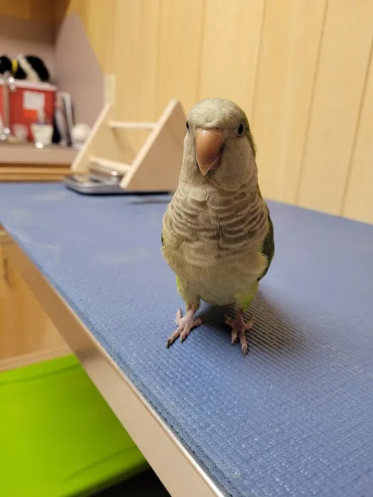 Fur Feathers and Friends Veterinary Hospital 12