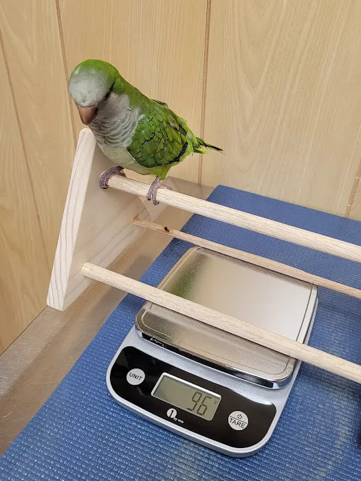 Fur Feathers and Friends Veterinary Hospital 12