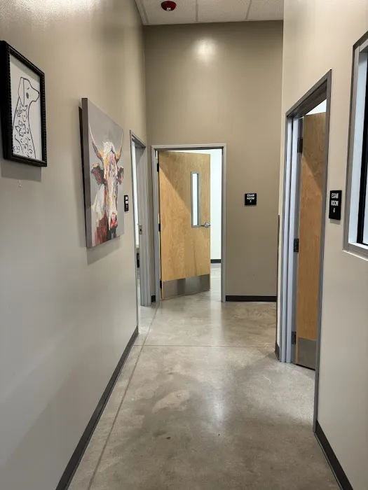 Vetco Total Care Animal Hospital 12