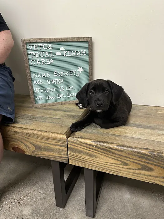 Vetco Total Care Animal Hospital 12