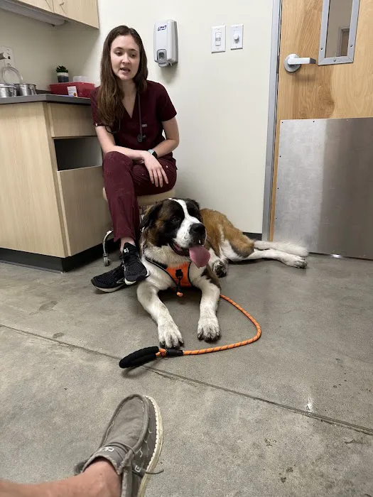 Vetco Total Care Animal Hospital 12