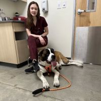 Vetco Total Care Animal Hospital ico