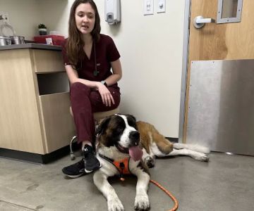 Vetco Total Care Animal Hospital