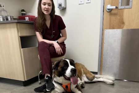 Vetco Total Care Animal Hospital