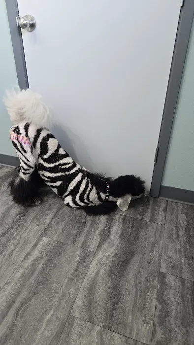 Bay Creek Animal Clinic 12