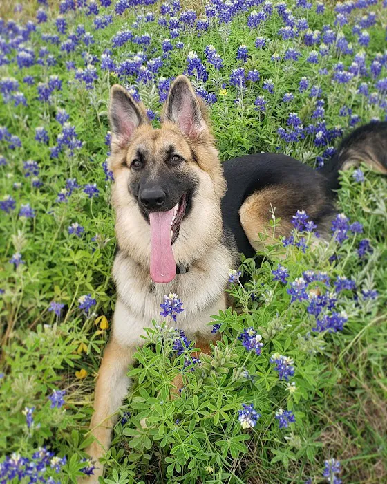 Bay Creek Animal Clinic 12
