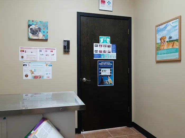 Animal House Veterinary Hospital 12