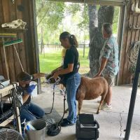 Tri-County Vet Services ico