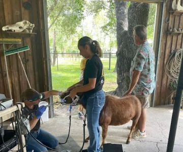 Tri-County Vet Services