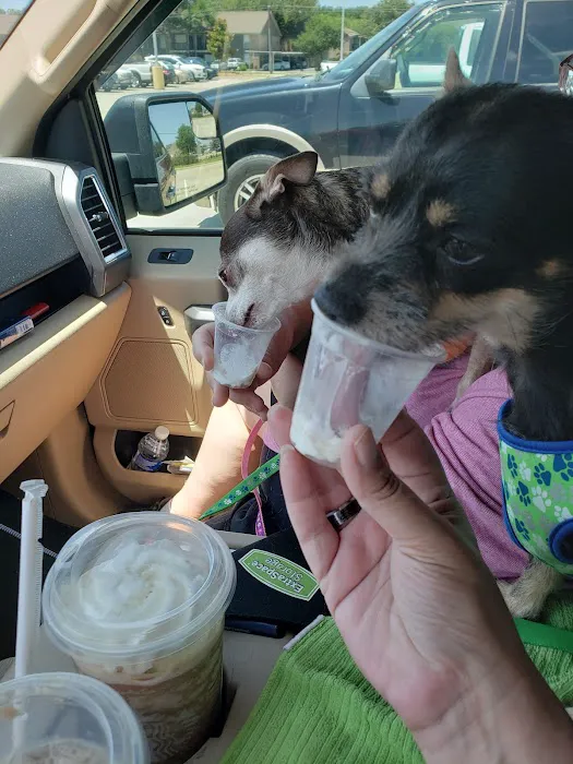 Pearland Canine Resource Center 12
