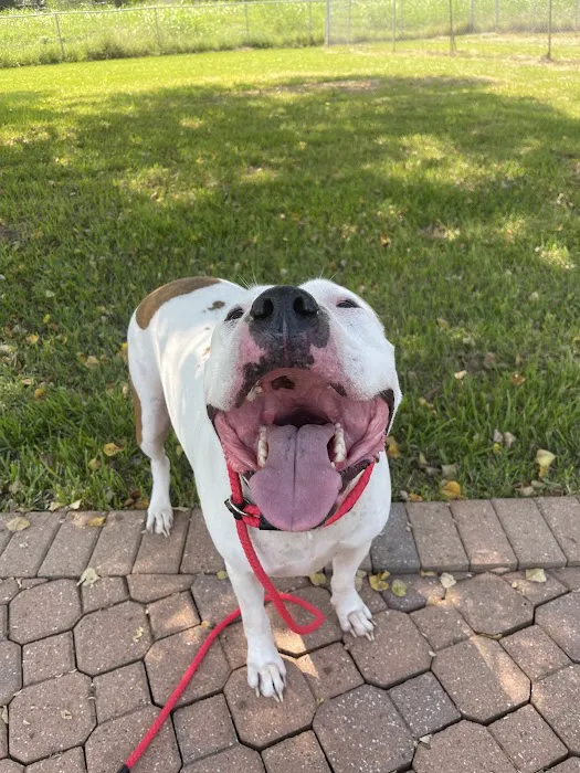 Pearland Canine Resource Center 12
