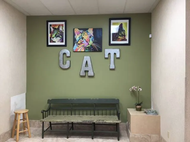 Family Animal Hospital of Friendswood 12