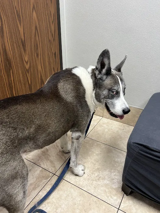 Family Animal Hospital of Friendswood 12