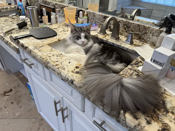 Friendswood Animal Clinic 12