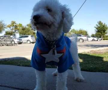 Vetco Vaccination Clinic
