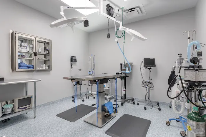 Livewell Animal Hospital of Cypress 7