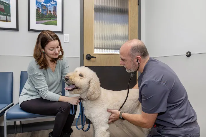 Livewell Animal Hospital of Cypress 4