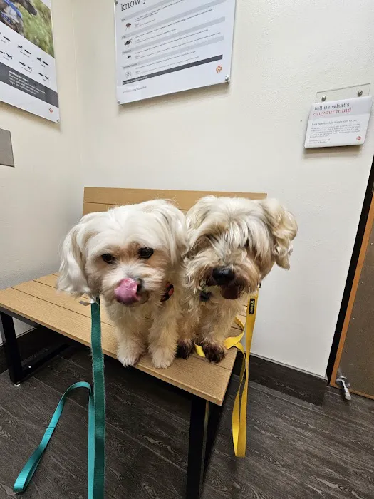 Banfield Pet Hospital 12