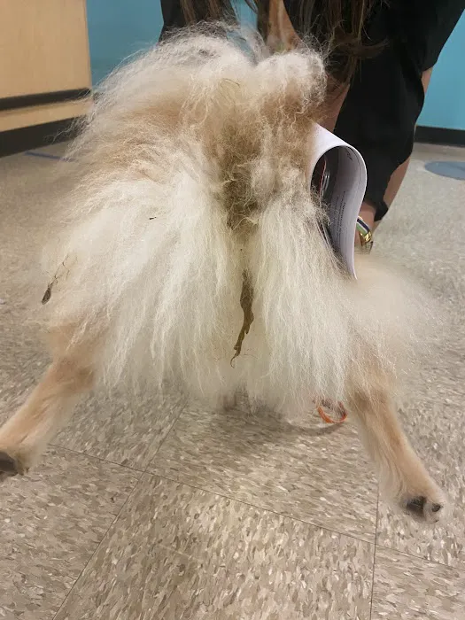 Banfield Pet Hospital 12