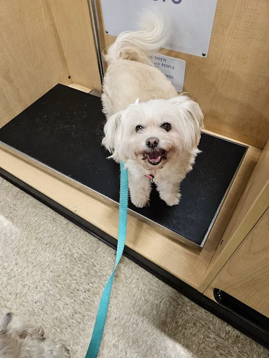 Banfield Pet Hospital 12
