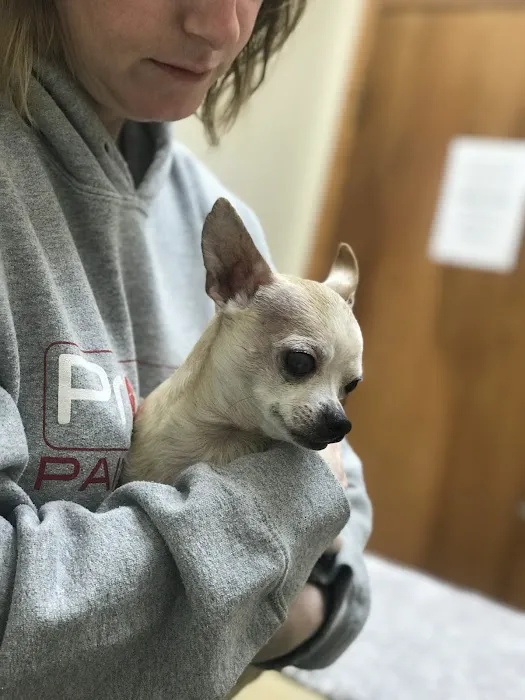 Lone Star Veterinary Hospital 12