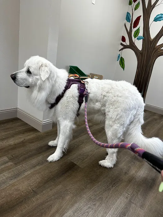 Lone Star Veterinary Hospital 12