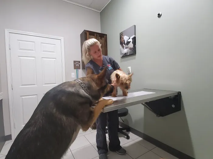 Vanguard Veterinary Clinic - Cypress 12