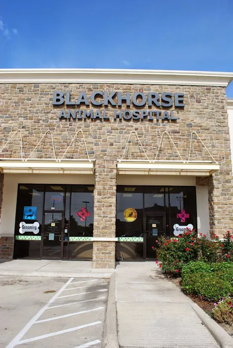 Blackhorse Animal Hospital 12