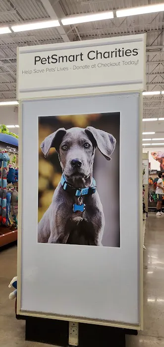 Banfield Pet Hospital 12
