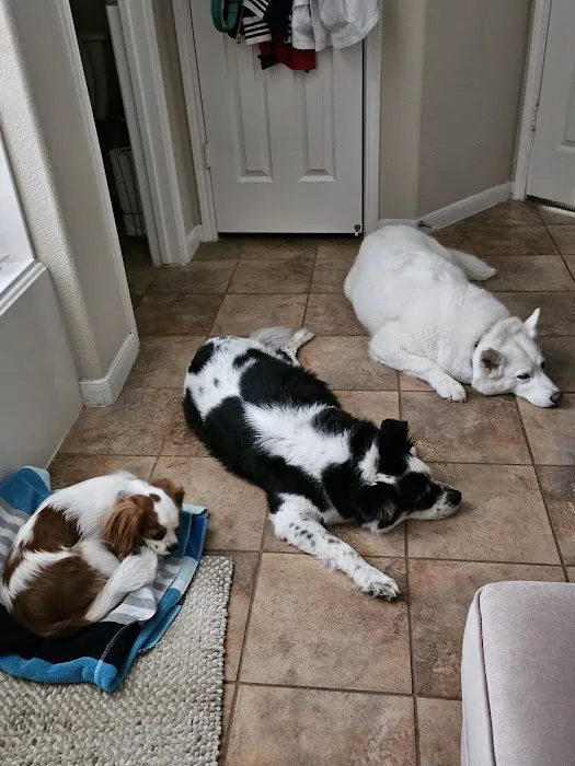 Banfield Pet Hospital 12