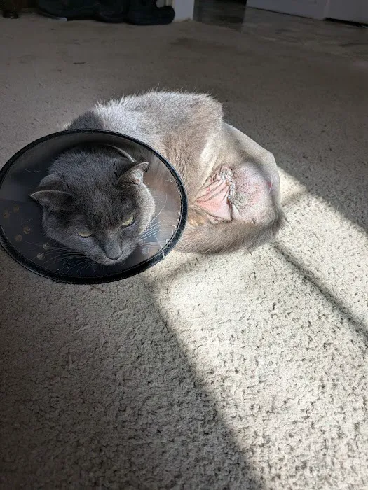 Pawsitive Healing Veterinary Hospital 12