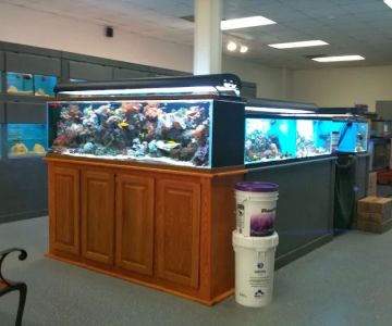 Aqua Hut