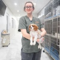 Your Pets Vets Woodlands ico