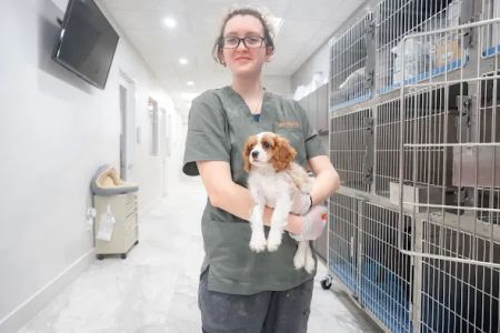 Your Pets Vets Woodlands