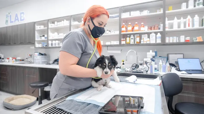 Your Pets Vets Woodlands 12