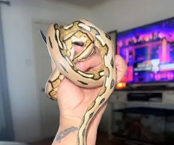 Exotic Empire Pets and Supplies