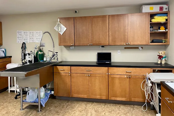 Creekside Animal Hospital 12