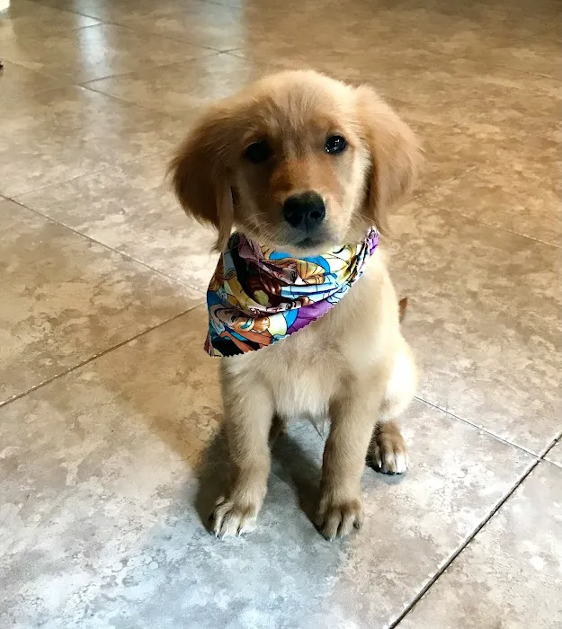 Creekside Animal Hospital 12