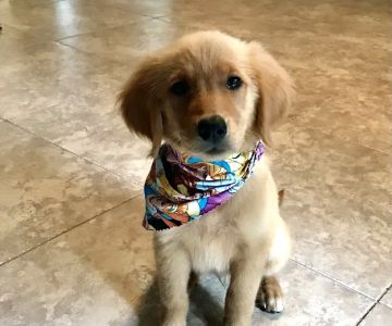 Creekside Animal Hospital